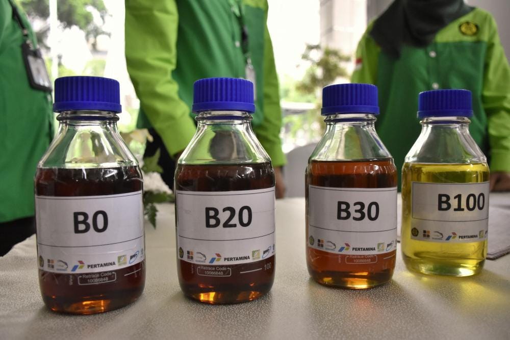 B50 Siap Diimplementasi 1 Juli 2026