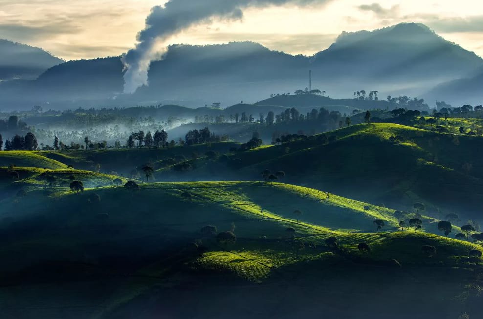 Bantu Eksplorasi Panas Bumi, Selandia Baru Dukung Indonesia Menuju 100% Energi Terbarukan