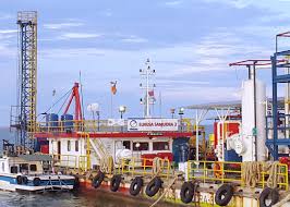 Elnusa Jajaki Pasar Afrika