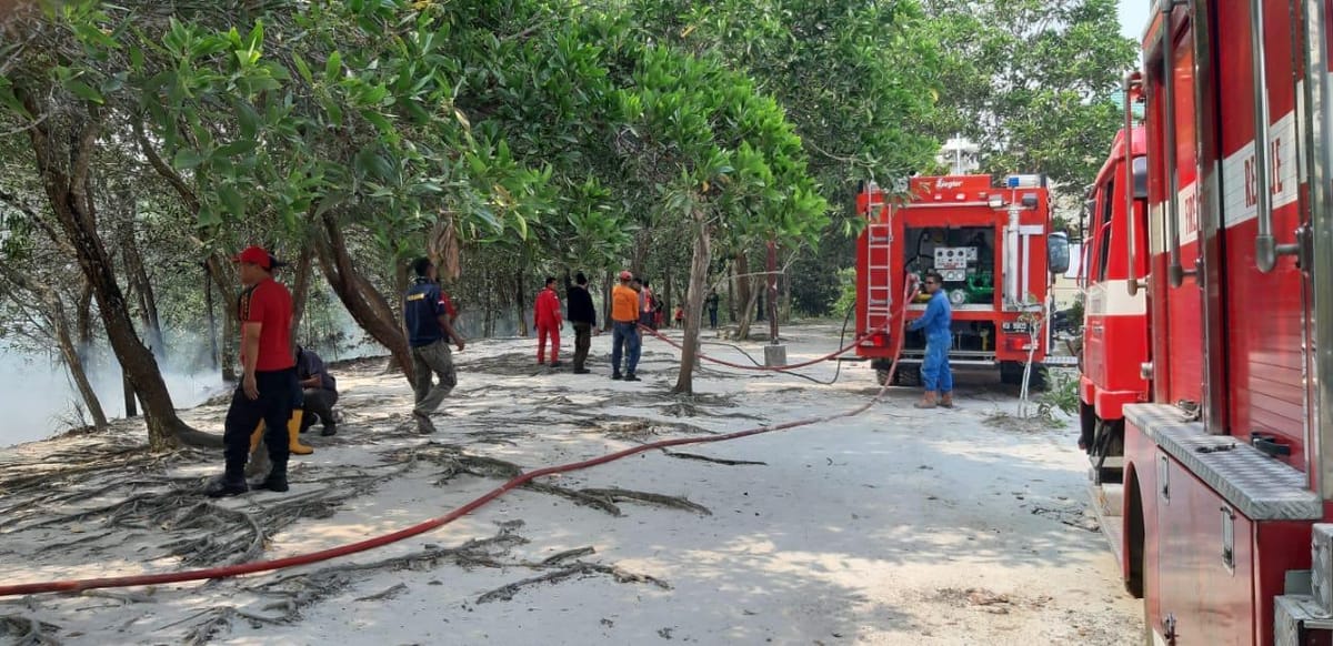 Pertamina EP Bantu Atasi Karhutla Di Sumatera Dan Kalimantan