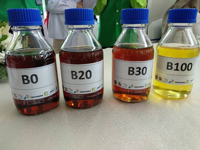 Baru Tercapai 10 Persen, Target EBT 2025 Bakal Dikebut Pakai Bioenergi