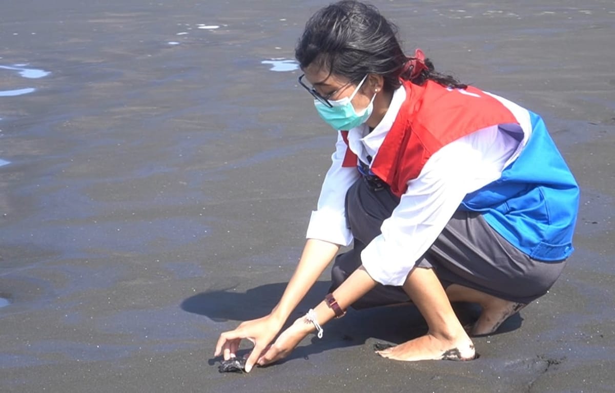 Pertamina Regio Jawa Bagian Tengah Lepasliarkan 206 Tukik