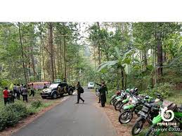 Pemanfaatan Hutan Harus Dengan PPKH Dan Tidak Diperjualbelikan