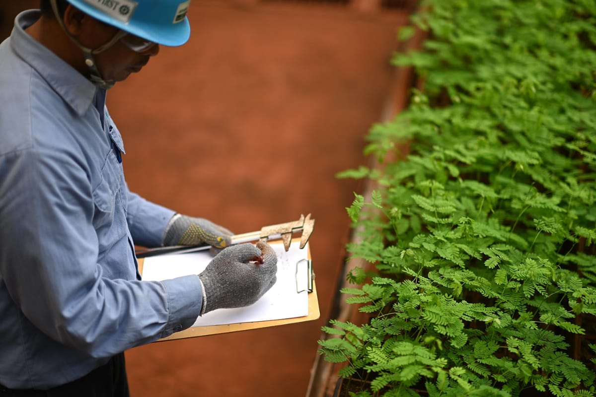 Selama 2021, Grup MIND ID Catat Realisasi Reklamasi Sebesar 931,25 Hektar