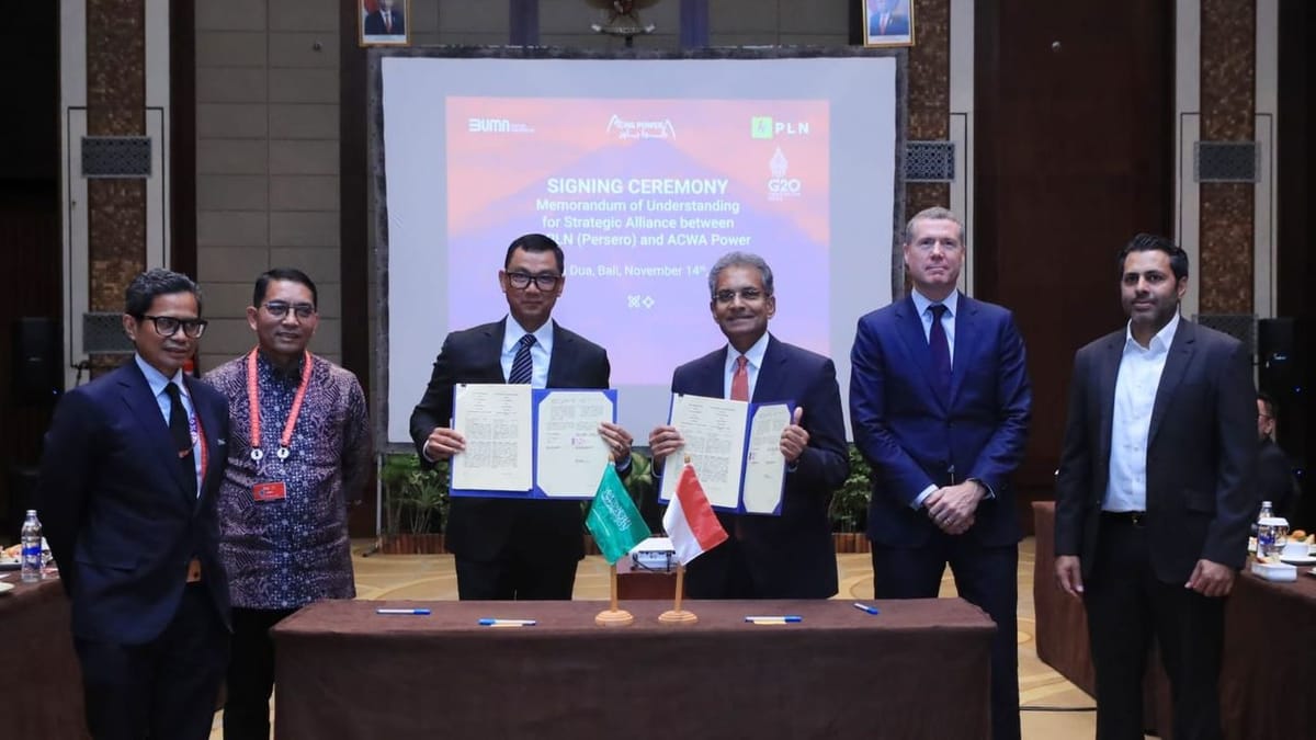 Kolaborasi Global, PLN Kembangkan Energi Bersih Bersama ACWA Power