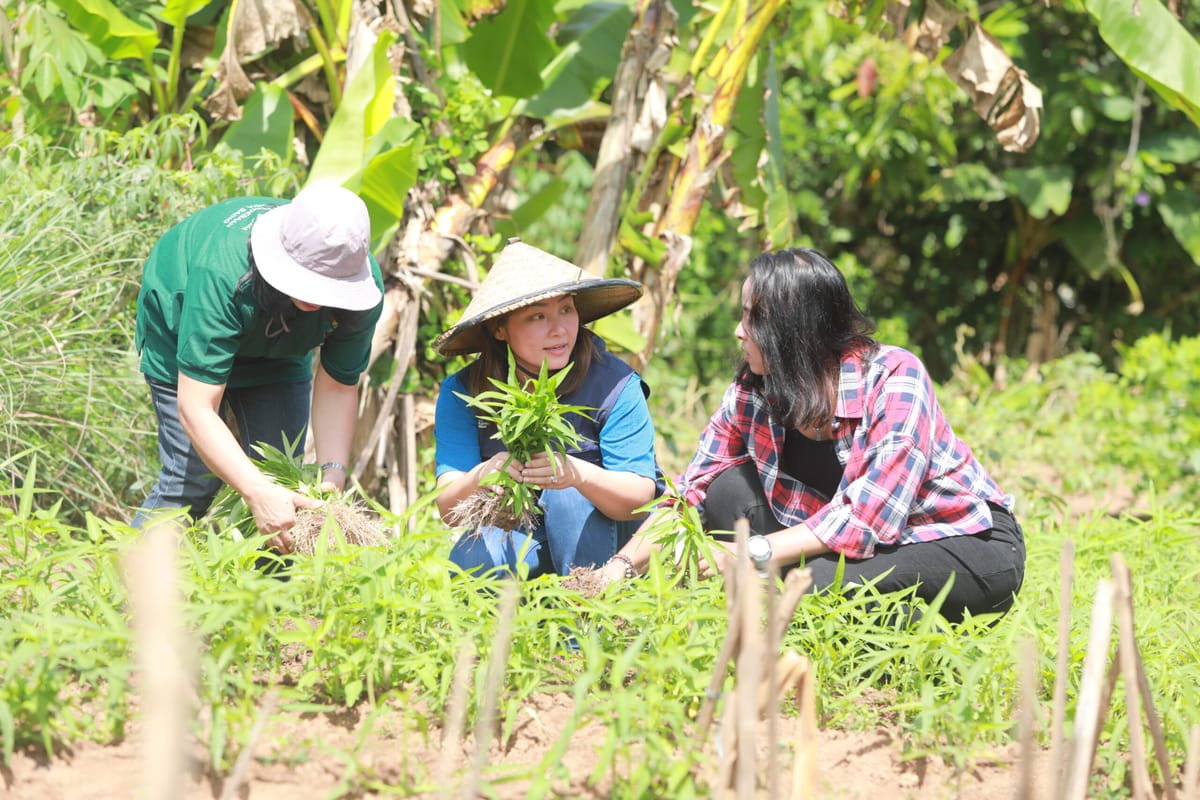 PT Vale Dorong Kemandirian Warga Lokal di Sektor Ketahanan Pangan