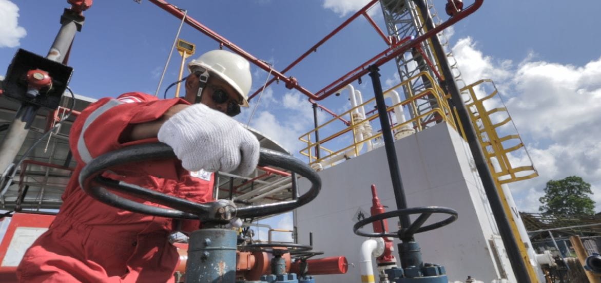 Elnusa Sokong Kesuksesan Temuan Sumber Daya Migas di Sumur Eksplorasi Kolibri