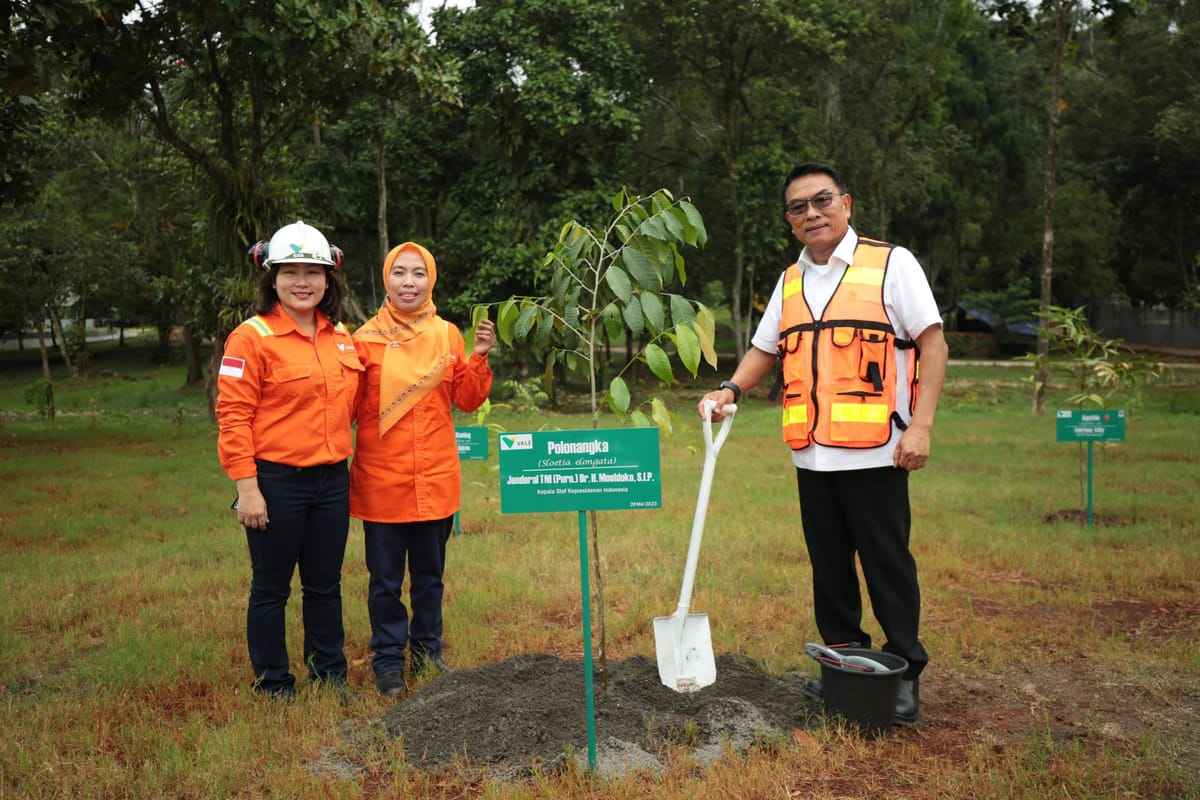 Moeldoko Blusukan ke Tambang Nikel VALE, Ada Apa?
