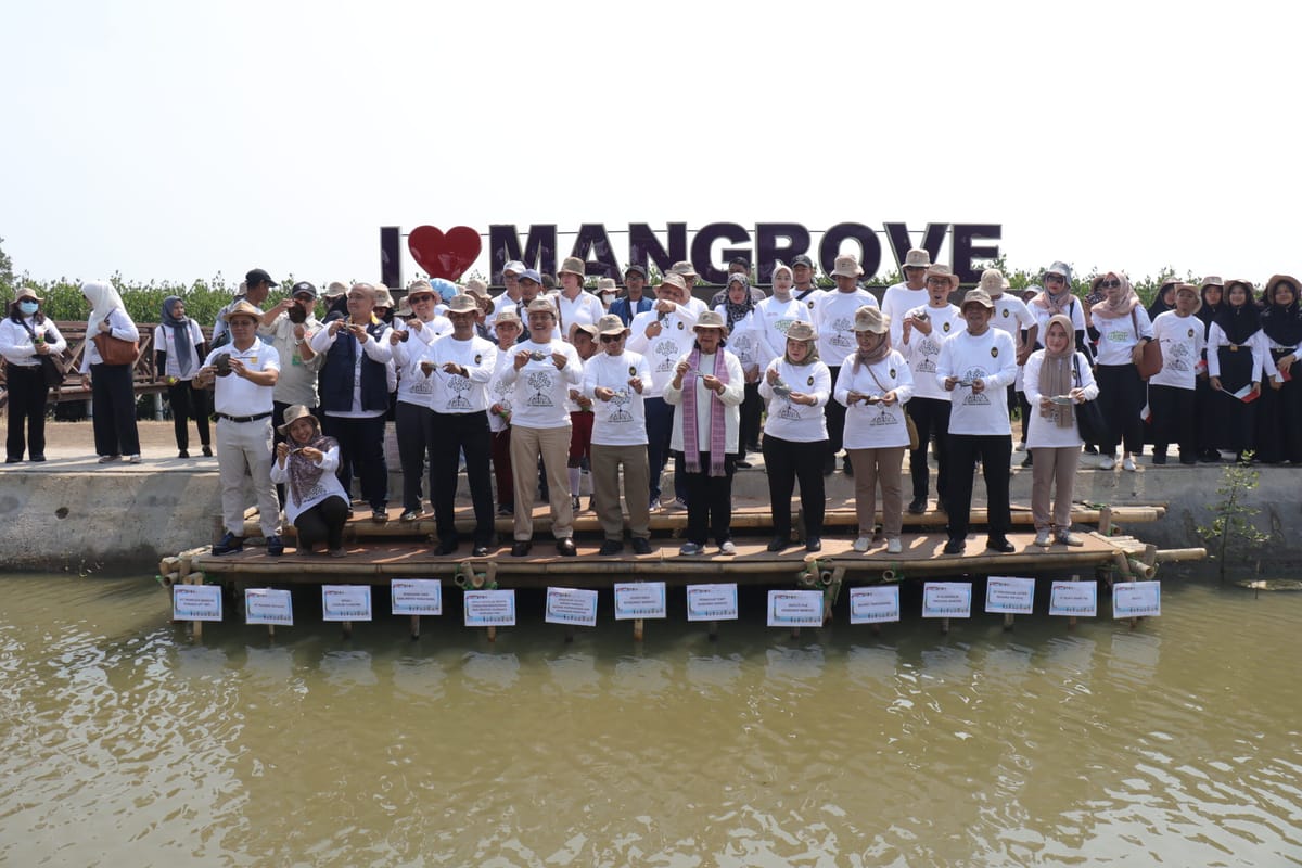 Bersama Kemenko Marvest, Harita Nickel Gelar Kegiatan Penanaman Mangrove Di Tangerang