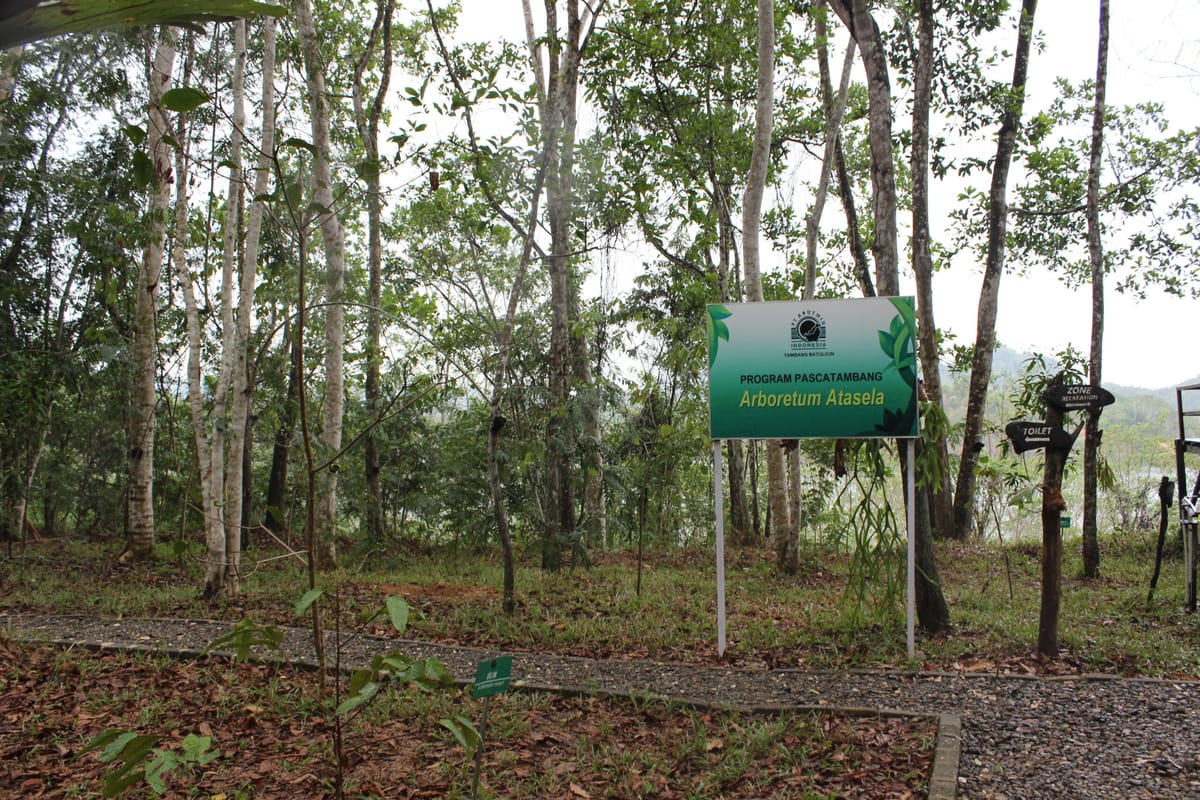 Reklamasi bekas tambang