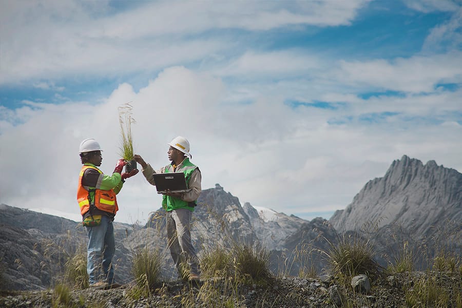 Menanam Di Atas Awan, Potret Reklamasi Tambang Di Gunung Grasberg
