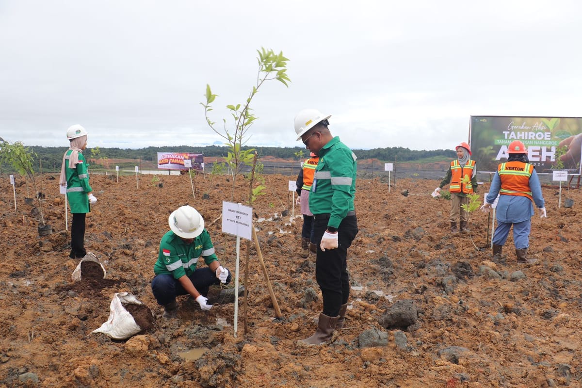 Di Aksi Tahiroe 2024, Mifa Bersaudara Tanam 1.100 Bibit Tanaman Di Area Tambang