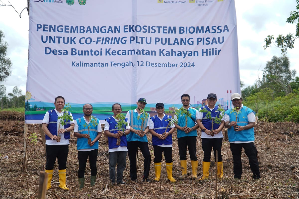 Untuk Cofiring PLTU Pulang Pisau-Kalteng, PLN EPI Kelola Tanaman Gamal Di Area Seluas 100 Ha