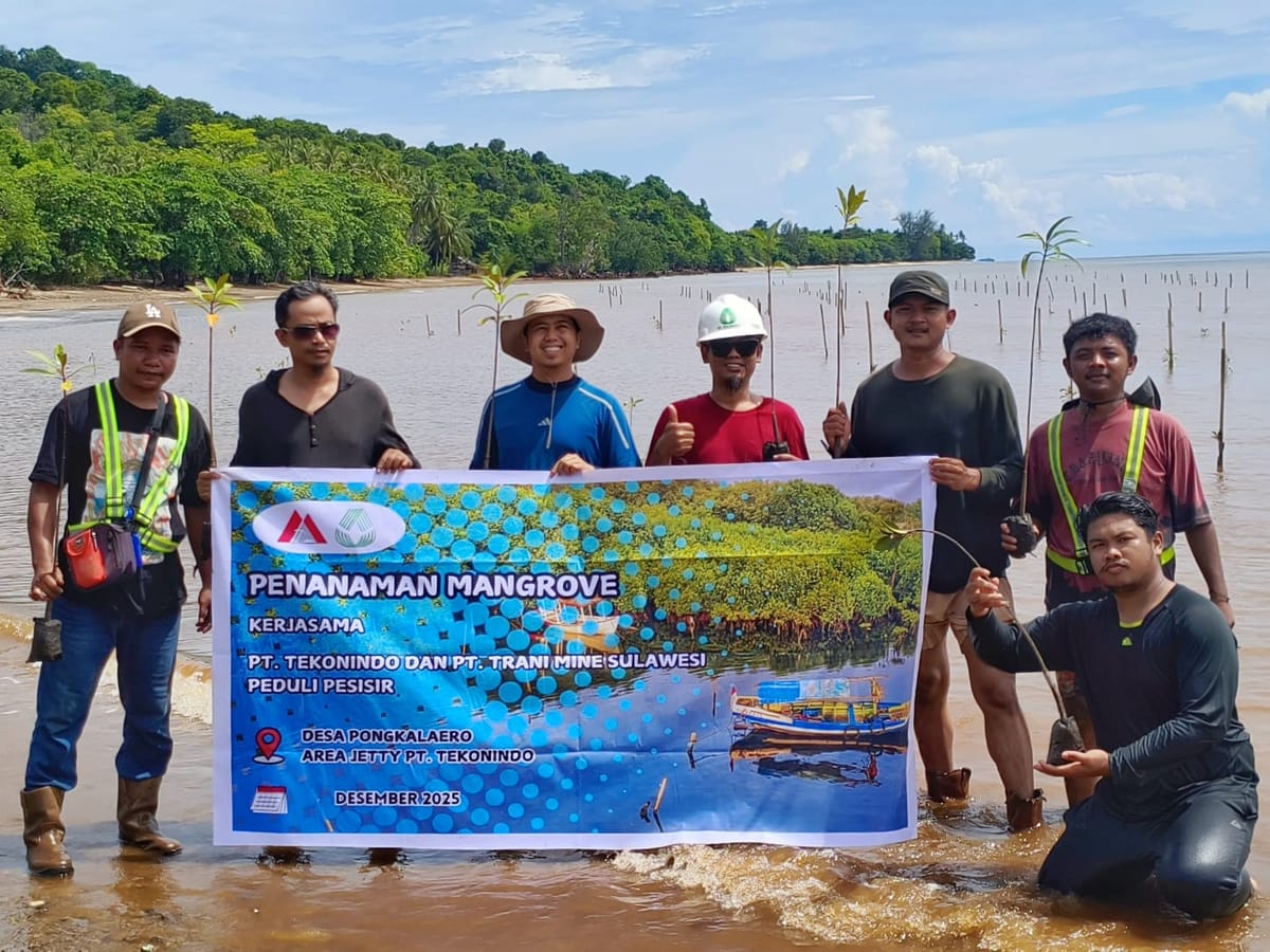 PT Tekonindo Gelar Kegiatan Penanaman 500 Pohon Mangrove Di Area Jety Perusahaan
