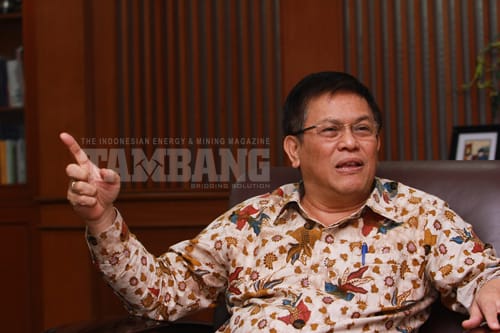 Smelter Feronikel Antam Rampung Tahun Ini