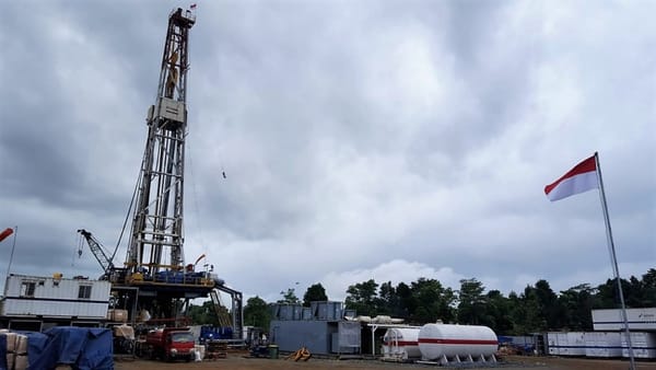 Pertamina EP Rantau Lepas 433 Tukik Tuntong Laut