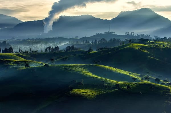 Bantu Eksplorasi Panas Bumi, Selandia Baru Dukung Indonesia Menuju 100% Energi Terbarukan