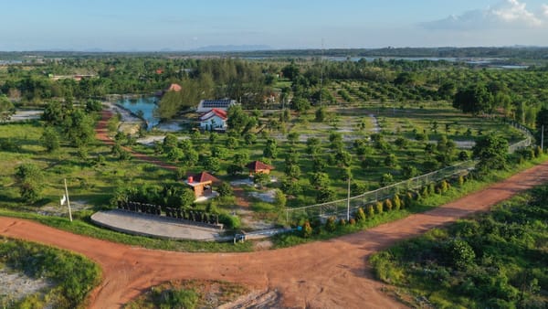 PT Timah Reklamasi 97,8 Hektar Lahan Pasca Tambang di Kuartal I 2023