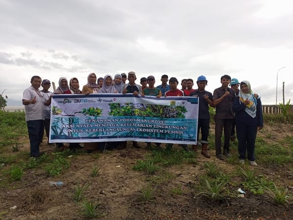 Jaga Lingkungan, PT Timah dan Kelompok Masyarakat Tanam Mangrove di Pesisir Pantai Teluk Rubiah