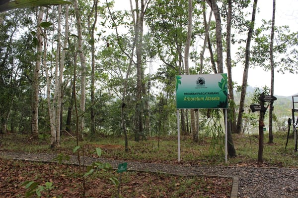 Reklamasi bekas tambang