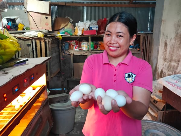 Jurus Swasembada Pangan Lewat Pekarangan Rumah Di Kutai Timur