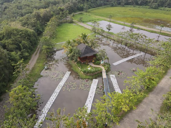 Lahan basah buatan