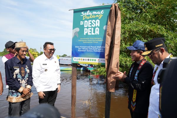 Agar Sang "Lumba-Lumba Mahakam" Tidak Punah